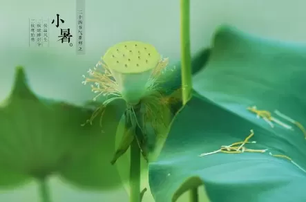 小暑是几月几日星期几