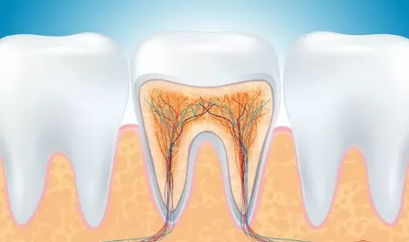 牙结石掉了牙龈空了牙齿会不会掉1