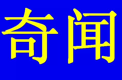 伴娘拿麻将六万随礼看懵大爷 伴娘：只是逗趣