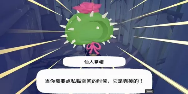 小猫咪大城市仙人掌帽获取指南图4