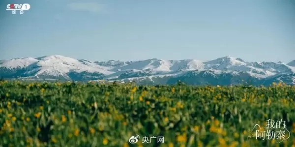 去阿勒泰旅游的人膀胱快炸了  当地文体旅游局回应