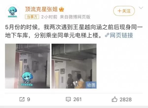 于正否认王星越与向涵之恋情 剧组演员同住一处 私下并不熟络