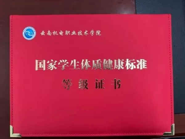 “身体倍儿棒 ”毕业生摊开这本证书 面试官反应亮了