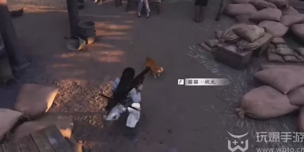 燕云十六声猫猫状元在哪