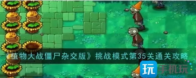 《植物大战僵尸杂交版》挑战模式第35关通关攻略